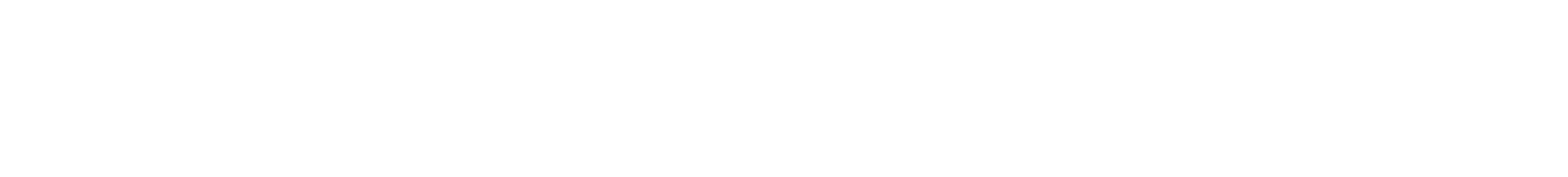 GovTech Prov